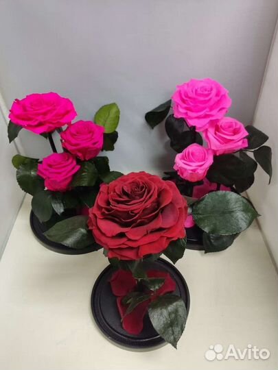 Подарок маме/ цветы оптом