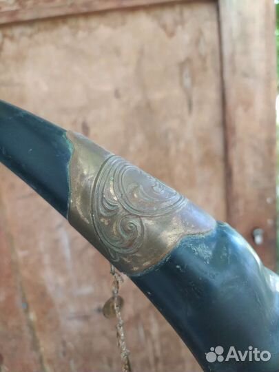 Рог изобилия