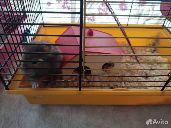 Клетка для грызунов