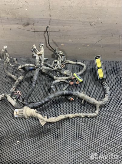 Проводка двигателя Chevrolet Aveo T250 1.2 Авео