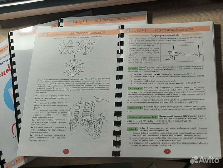 Методичка по основам экг