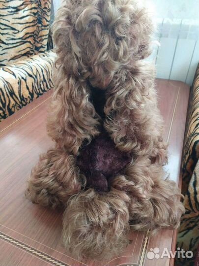 Игрушка пудель СССР