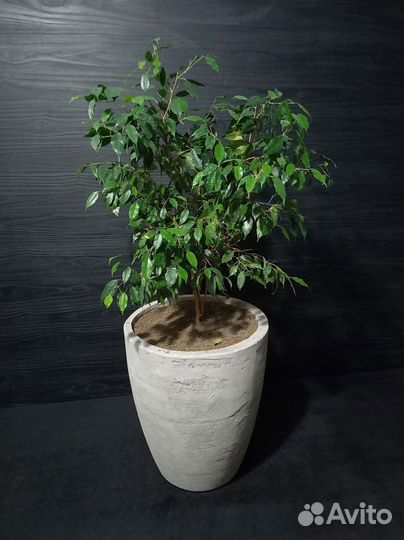 Вазон для цветов на 48 литров, авито доставка 45