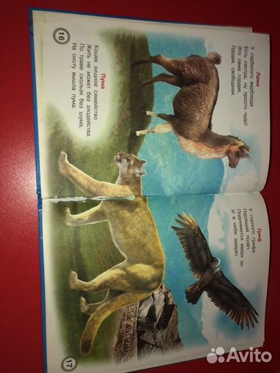 Книга о животных