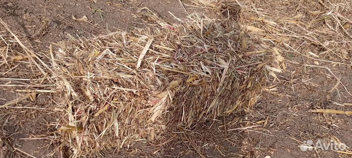 Сено в тюках
