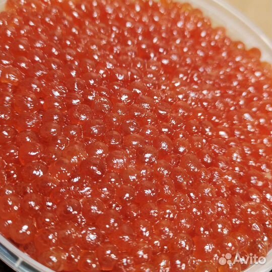 Икра красная свежая
