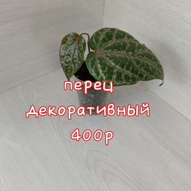 Перец декоративный