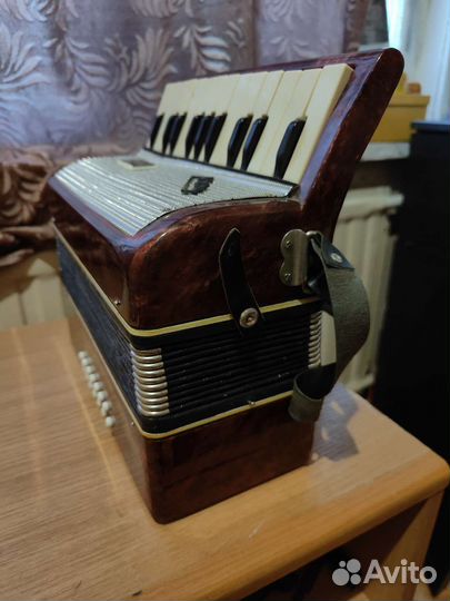 Аккордеон Малыш. Рабочий