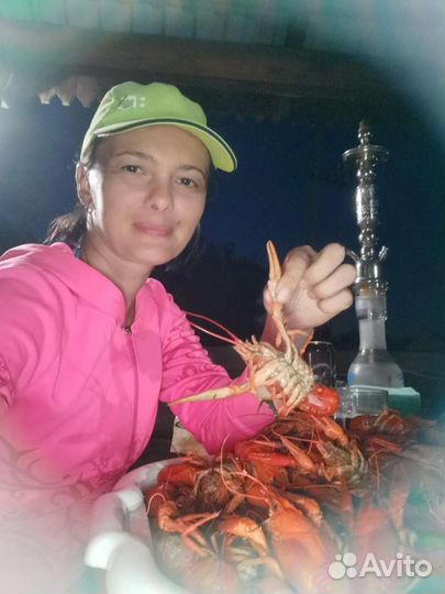 Рыбалка и отдых на Нижней Волге. Лукоморье в Мумре