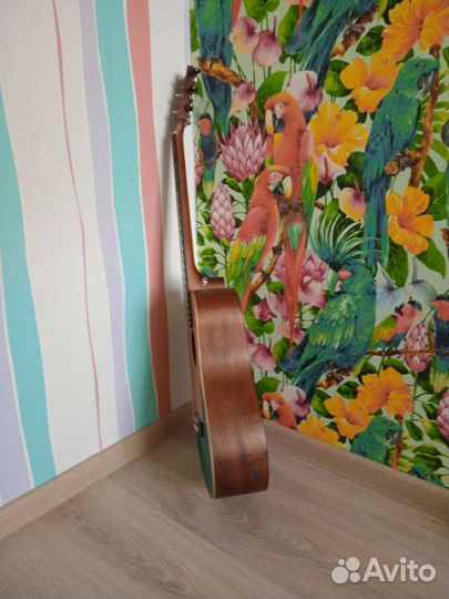 Travel гитара 3/4 Cort Earth mini OP