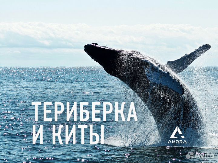 Териберка и киты