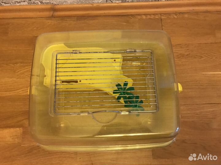 Улитка Ахатина и 2 террариума