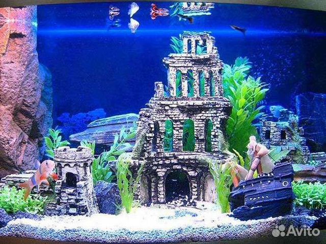 Обслуживание аквариумов