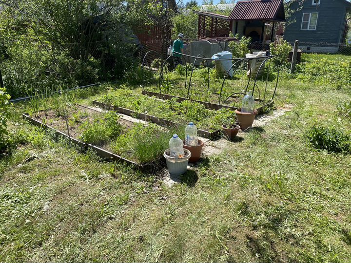 Дача 64 м² на участке 6 сот.