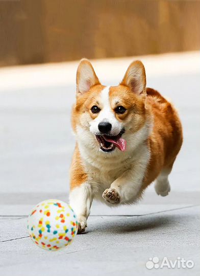 Жевательная игрушка для собак, супер прочный мяч