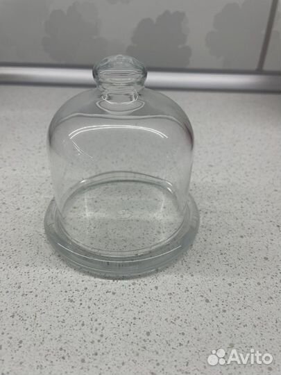 Лимонница стеклянная