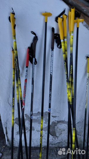 Беговые лыжи