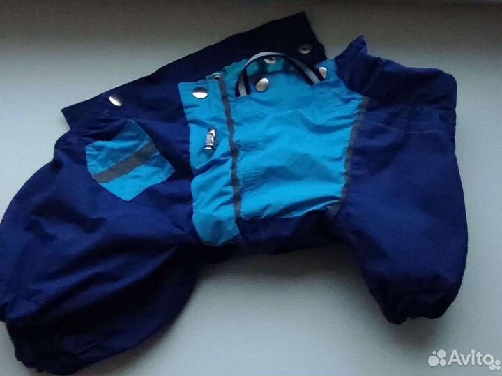 Новый комбинезон для маленькой собаки