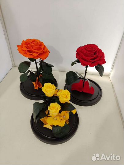 Роза в колбе