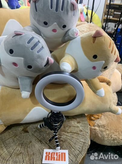 Кот батон Гигант