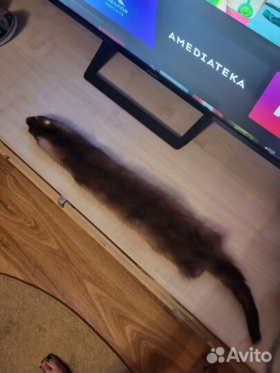 Шкурки норки