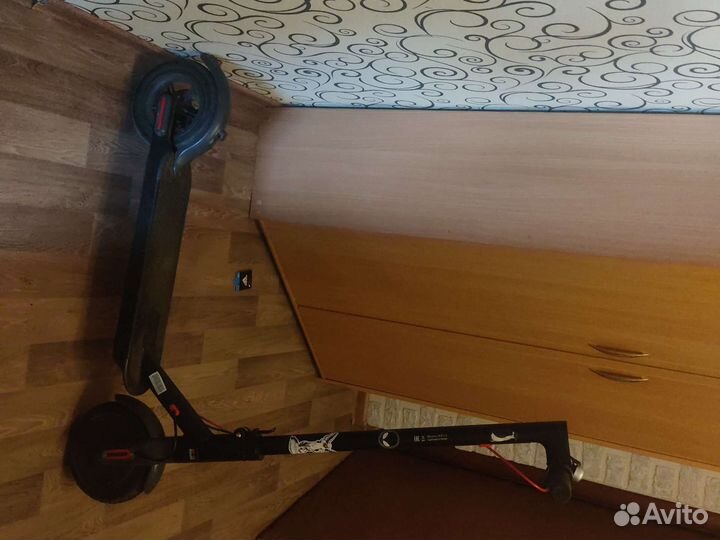 Самокат взрослый