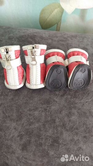 Ботиночки для собак мелких пород