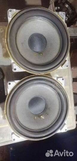 Динамики разные
