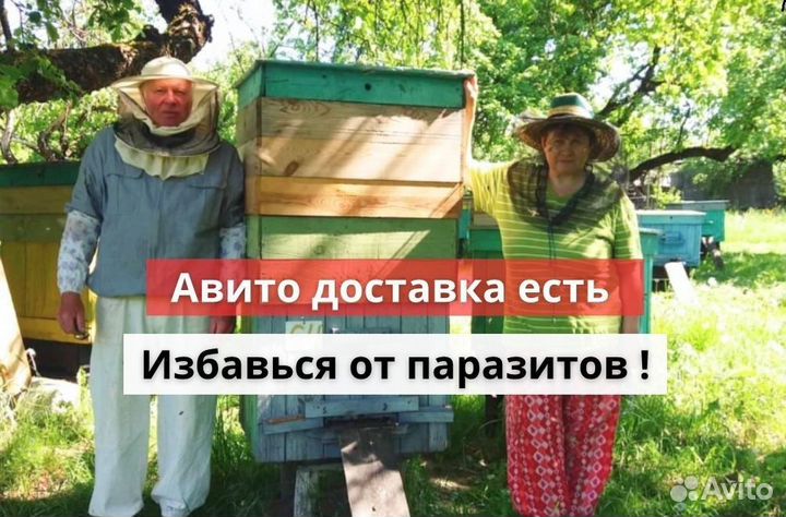 Противо паразитарный противогрибковый мед