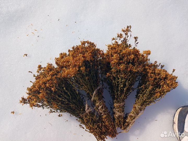 Веники для бани