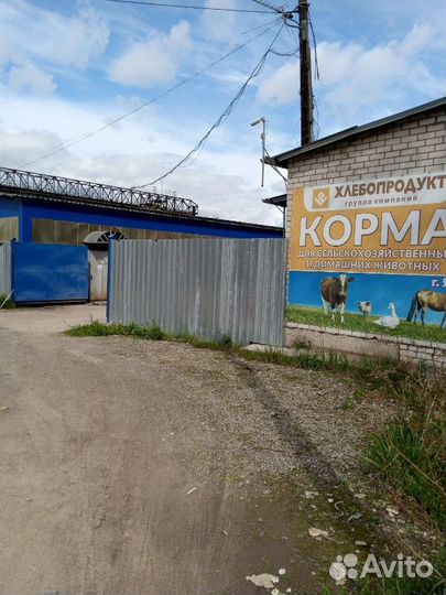 Зерно и комбикорма