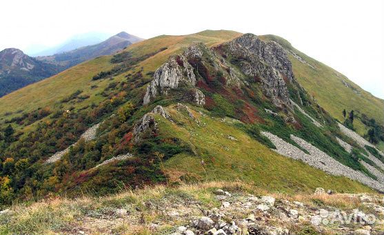 Трава горы дом море, укромное место