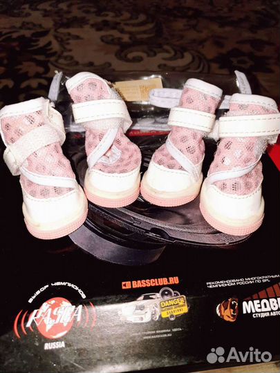 Ботинки для маленьких собак