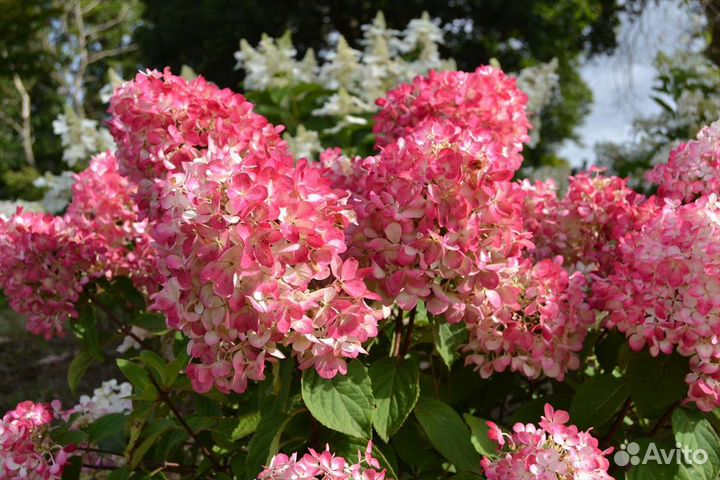 Осенний декор