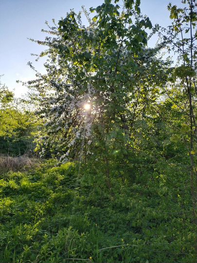 Дом 56 м² на участке 12 сот.