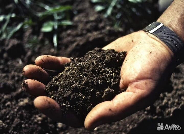 Торф нейтральный