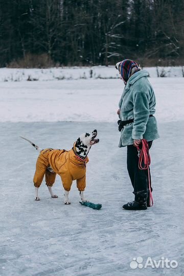 Кинолог зоопсихолог, коррекция поведения