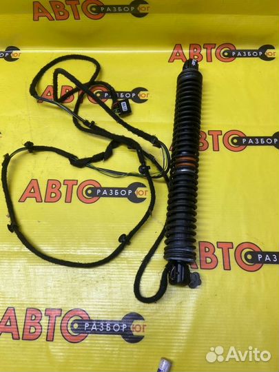 Амортизатор багажника Bmw 7-Series F01 N63B44 2008