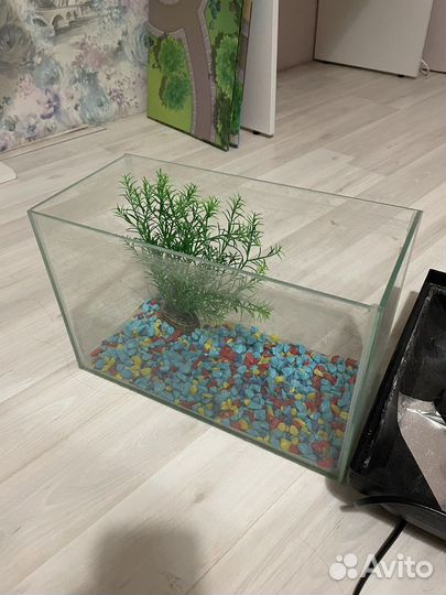 Аквариум маленький