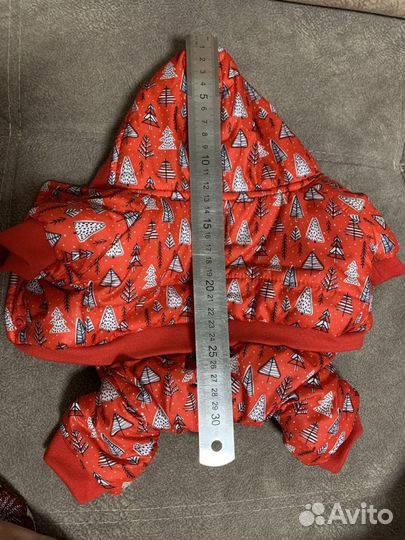 Одежда для собак