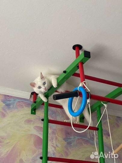 Детская шведская стенка