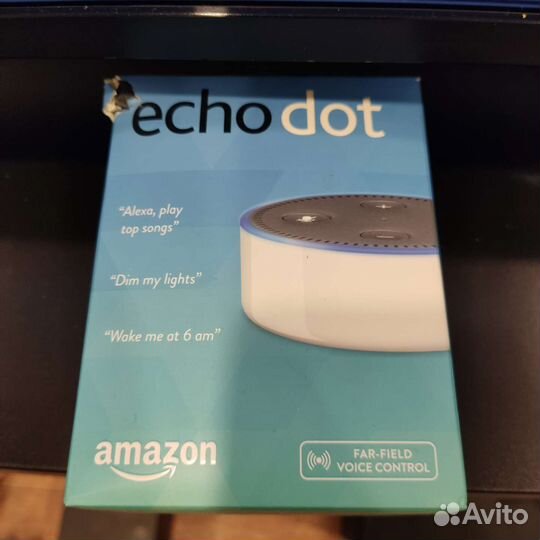 Amazon Ehodot, колонка