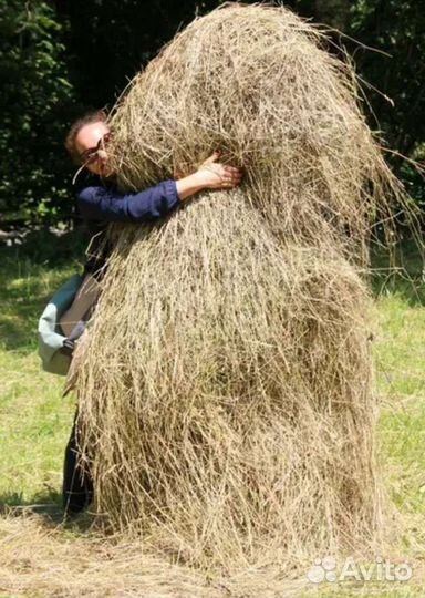 Сено в рулонах