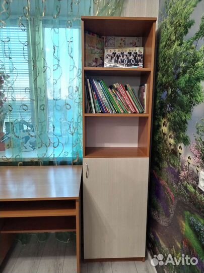 Письменный стол и шкаф пенал