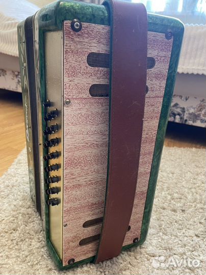 Гармонь весна 2