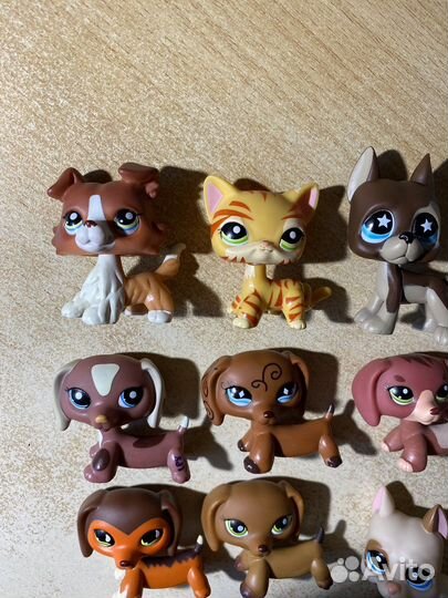 Littlest pet shop