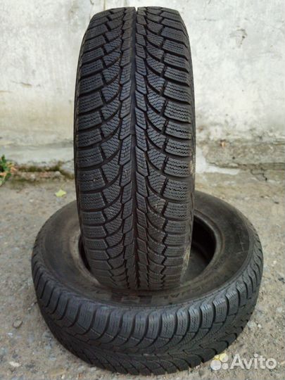 General Tire Altimax Nordic 12 195/65 R15 95T