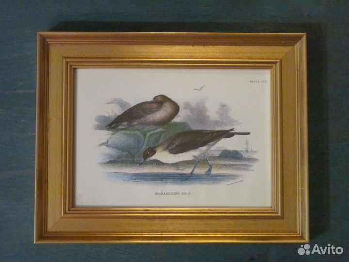 Старинные гравюры в деревянных рамах Утки и гуси