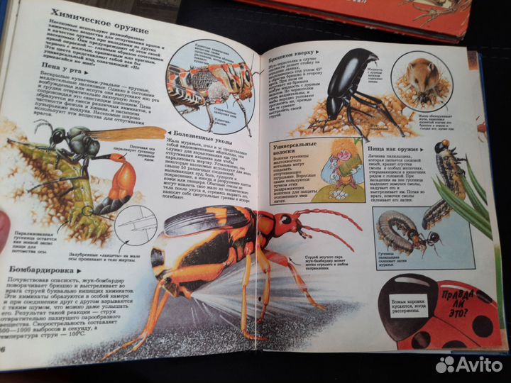 Энциклопедия Тайны живой природы