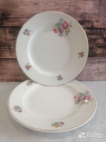 Тарелка зик